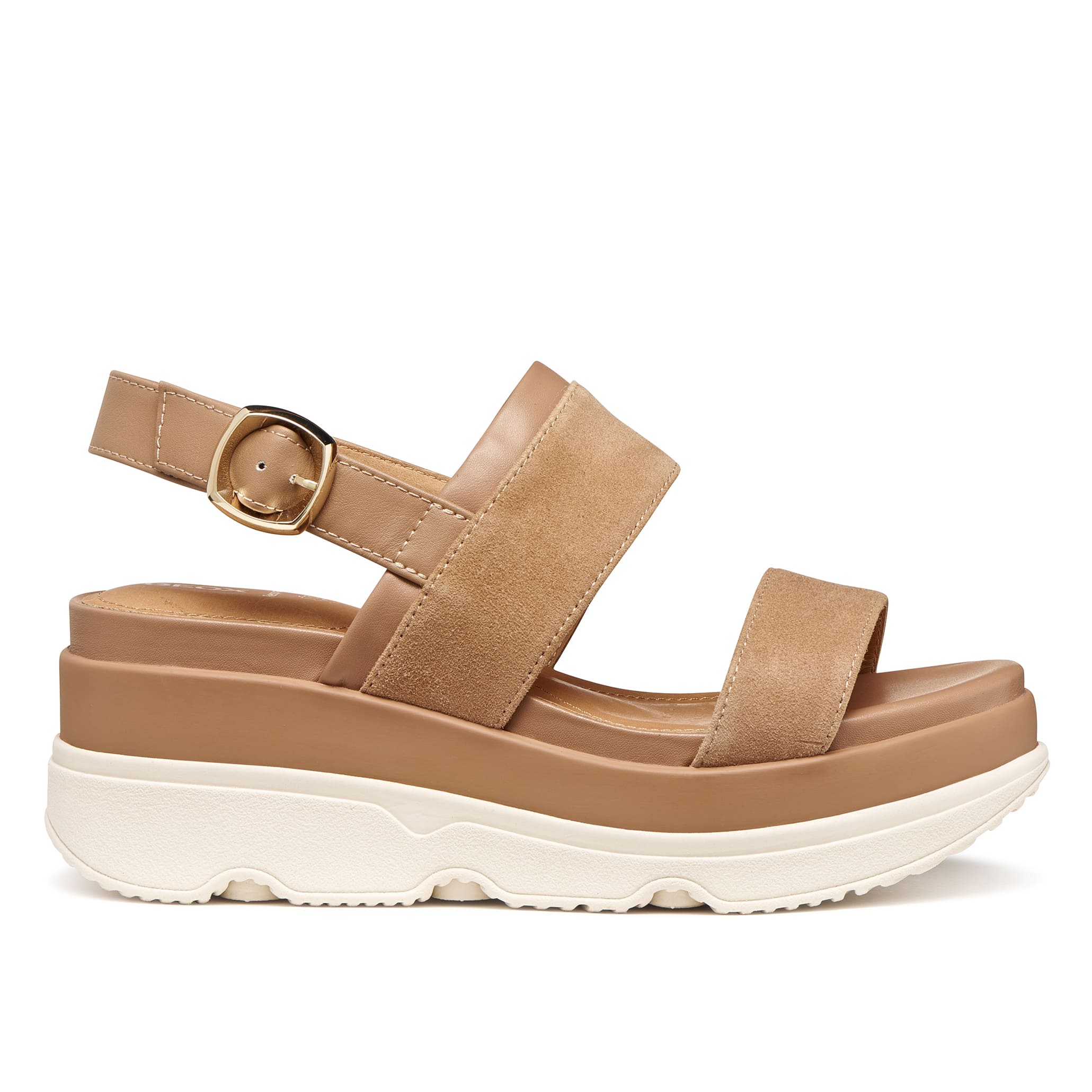 D65HBA021BCC5000_00 D65HBA021BCC5000